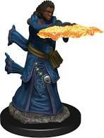 D&D Premium Figure: Human Wizard Female